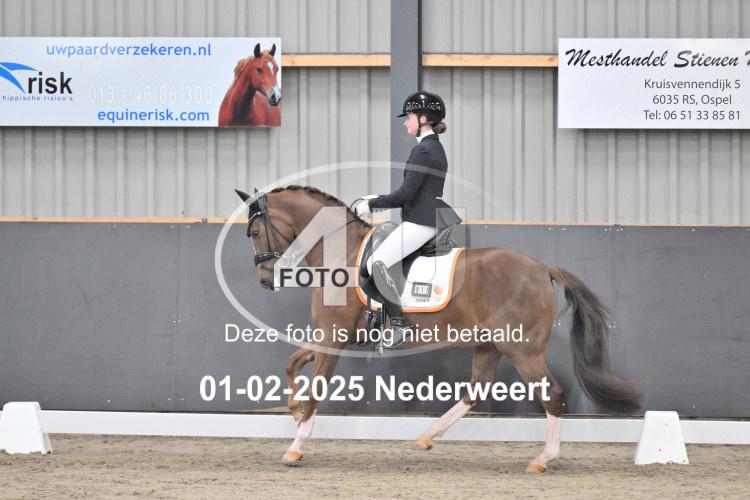 250201 3636