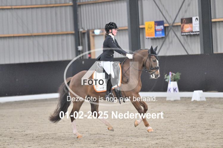 250201 3640