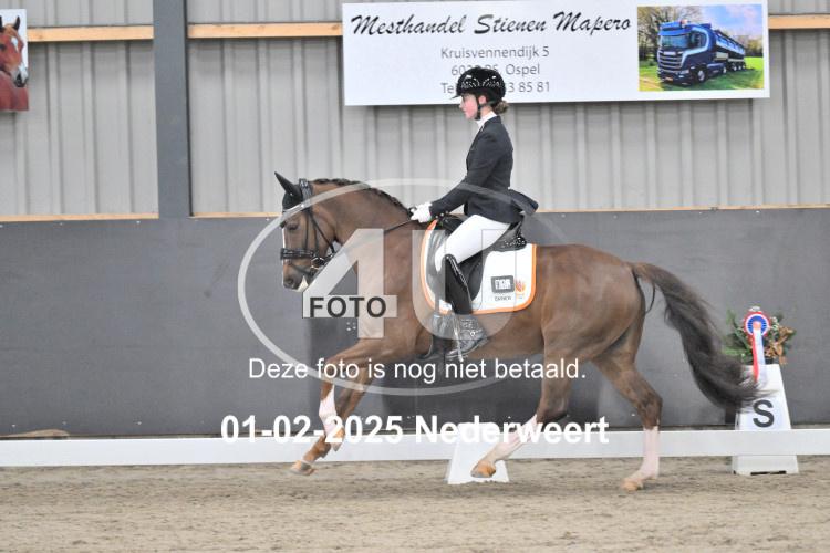 250201 3644
