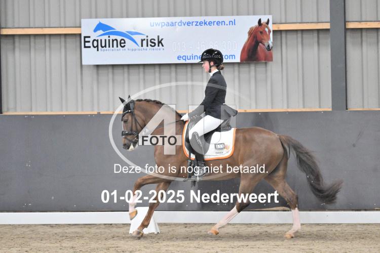 250201 3645