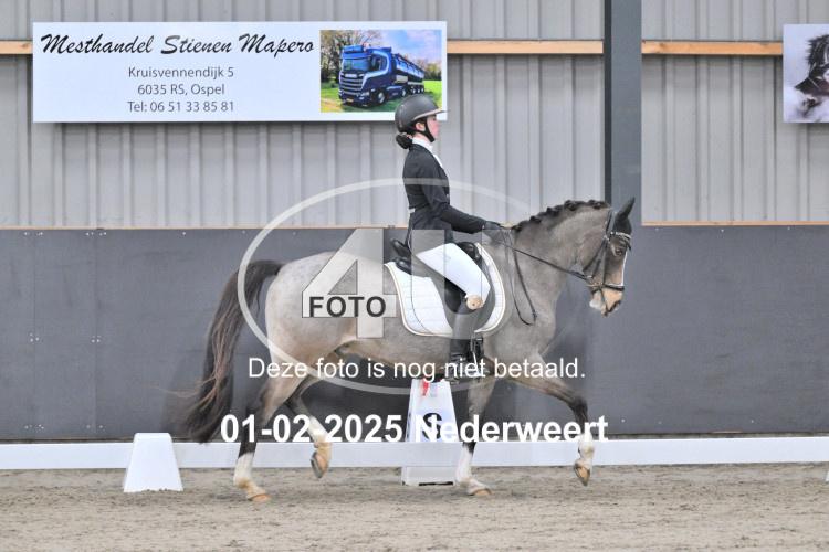 250201 3656