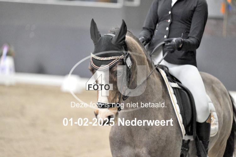 250201 3662