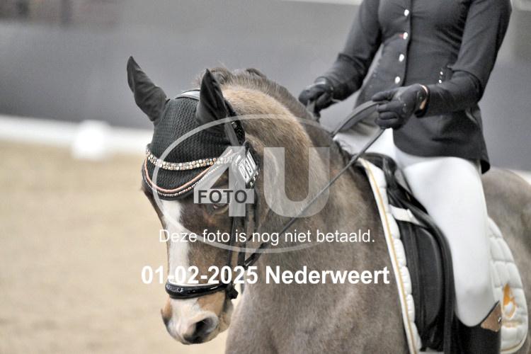 250201 3663