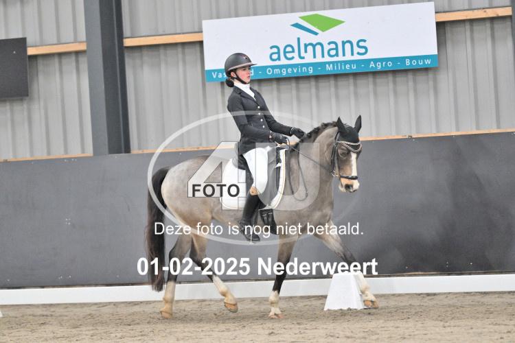 250201 3677