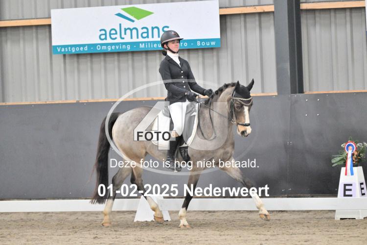 250201 3685