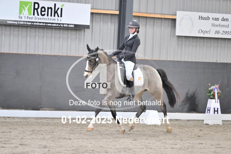 250201 3690