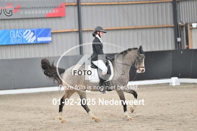250201 3704