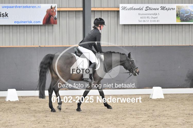 250201 3778