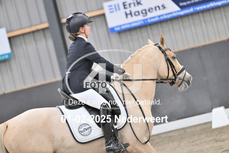 250201 3845