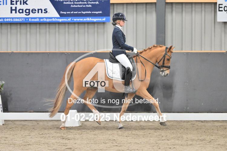 250201 3856