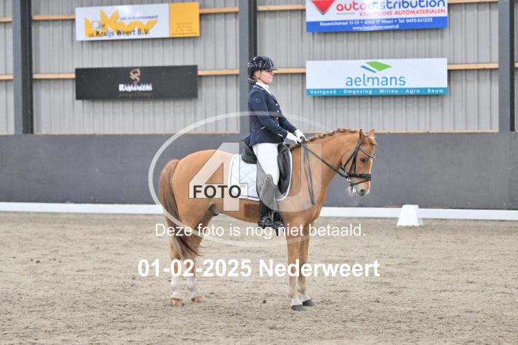 250201 3900