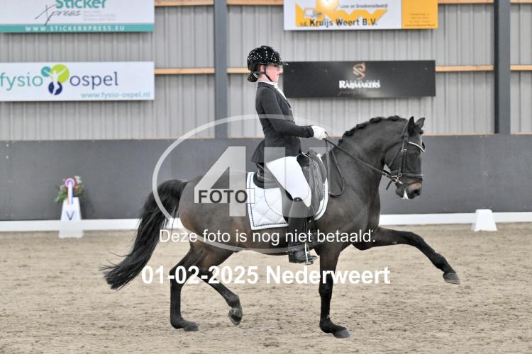 250201 3934
