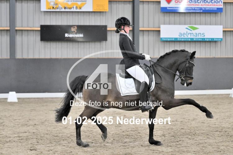 250201 3935