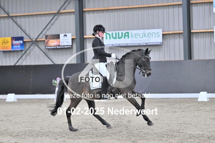250201 3954