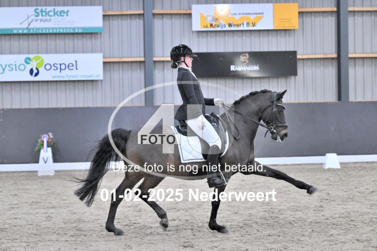 250201 3959