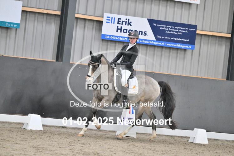 250201 3972