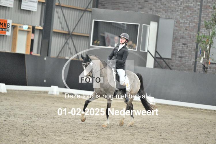 250201 3973