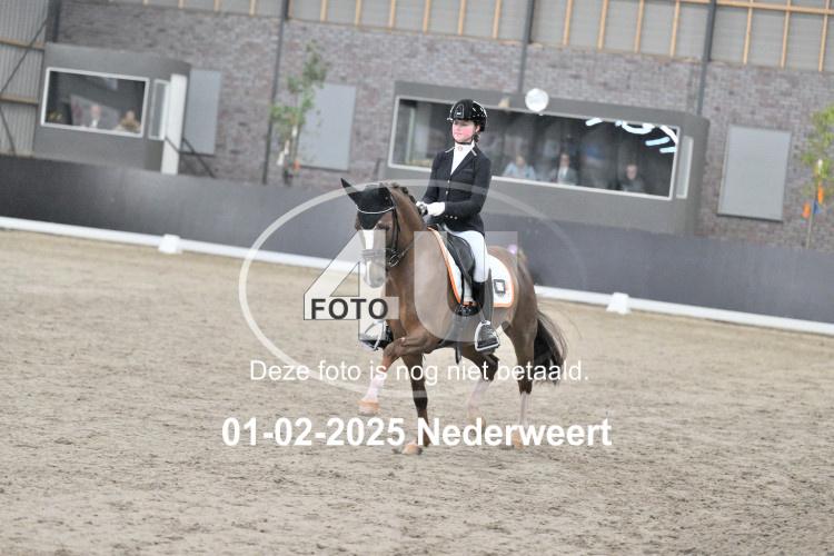 250201 3983