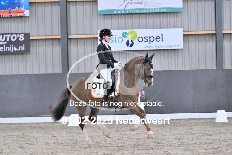 250201 3993