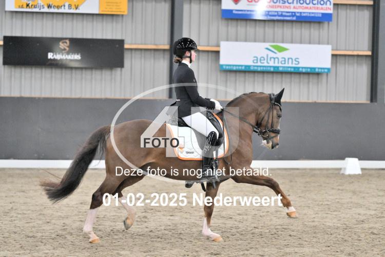 250201 3999
