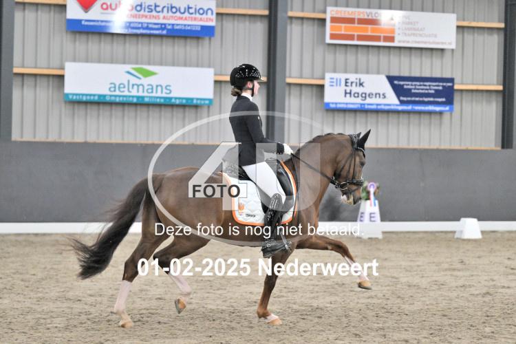 250201 4000
