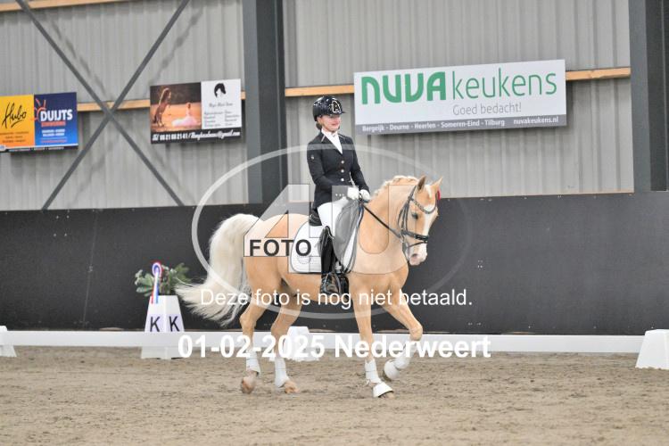 250201 4176