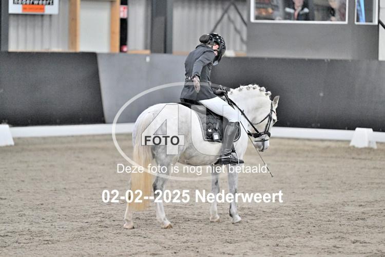 250202 0031
