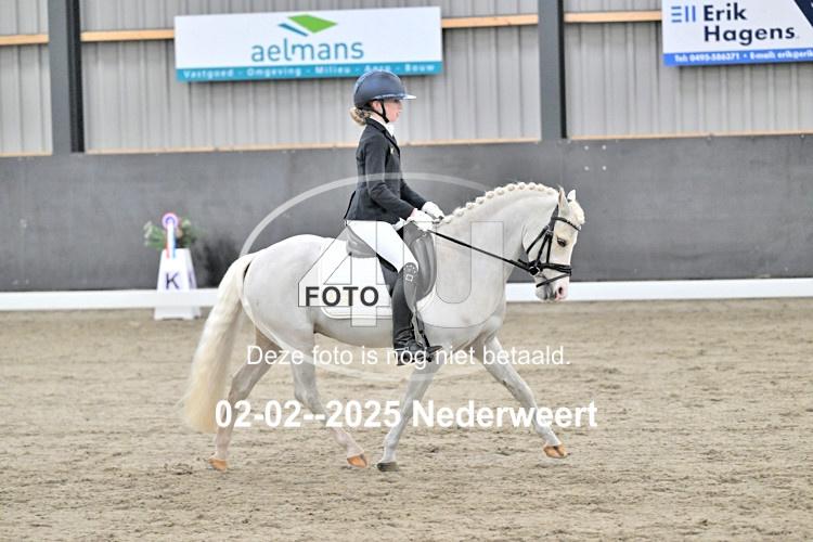 250202 0056