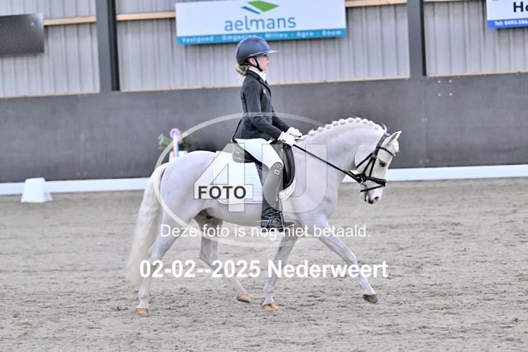 250202 0060