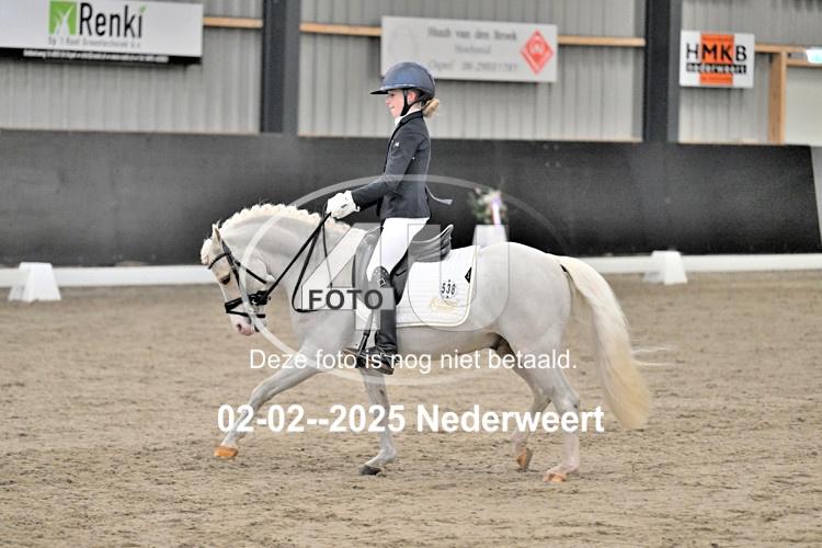 250202 0095