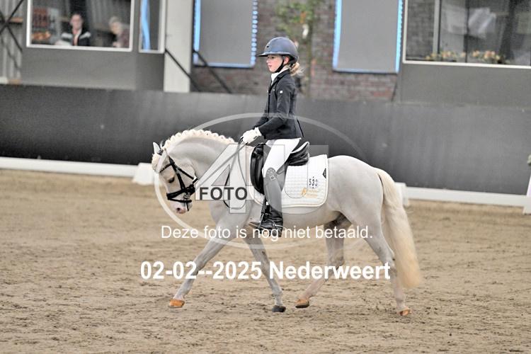 250202 0108