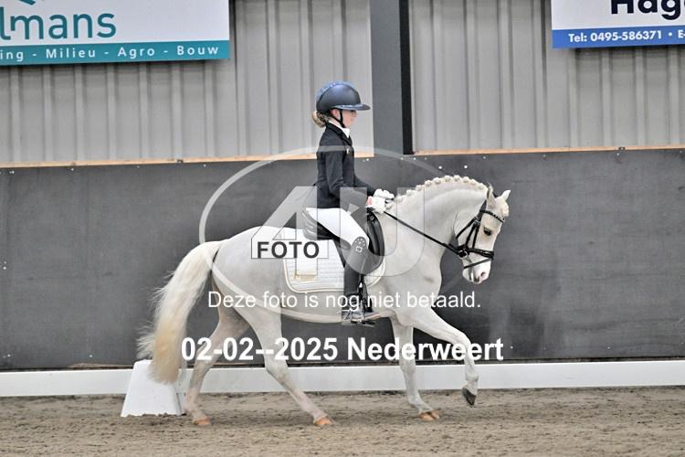 250202 0117
