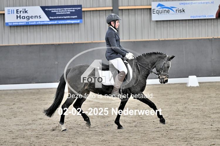 250202 0133