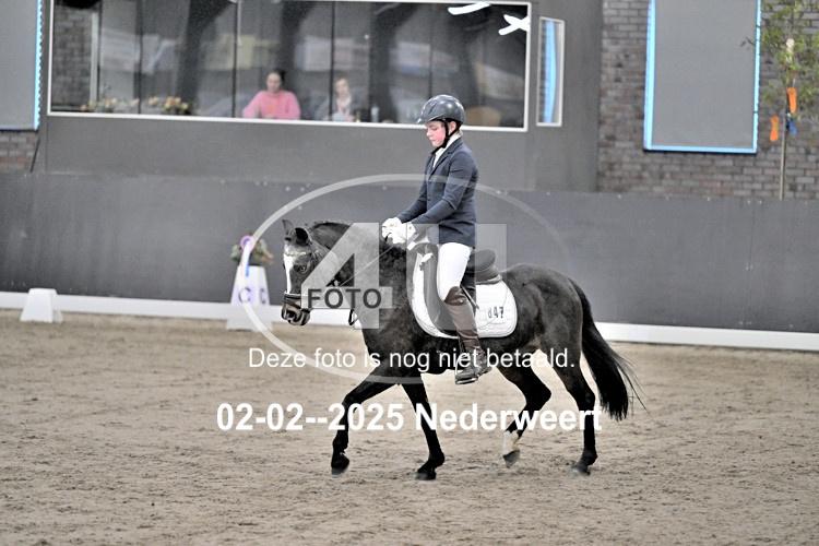 250202 0145