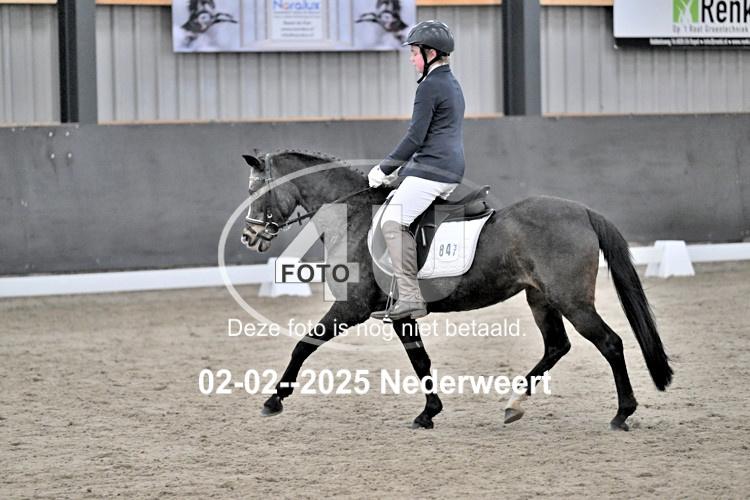 250202 0151