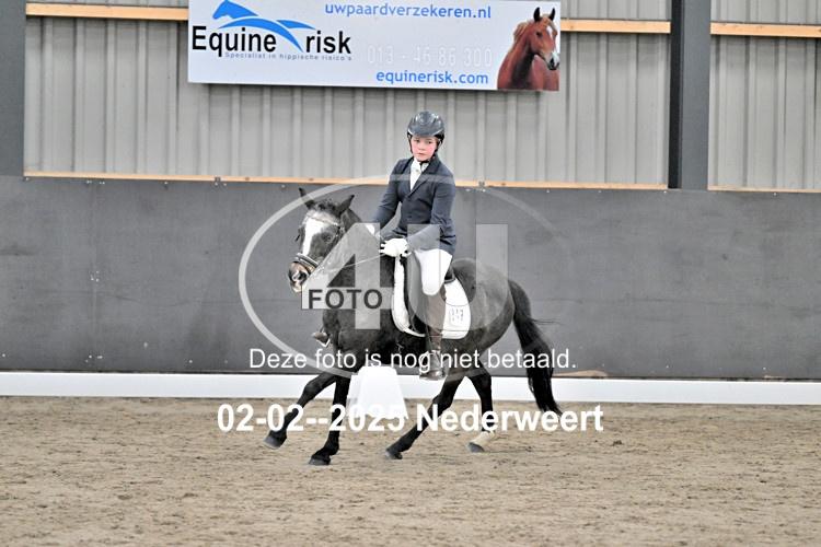 250202 0154