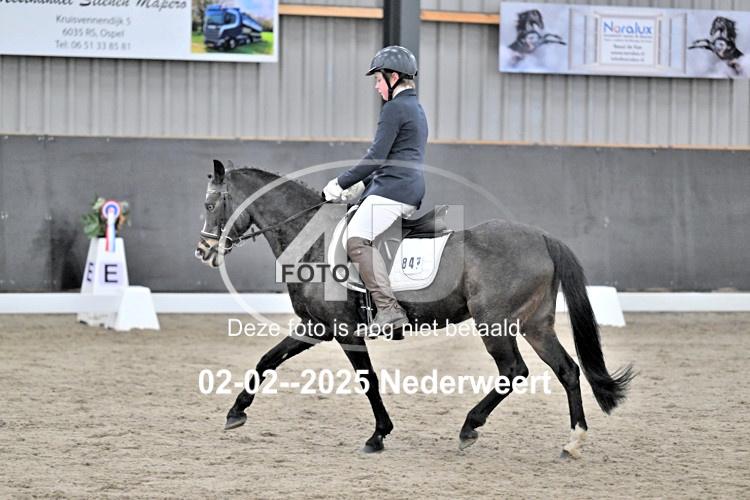 250202 0159
