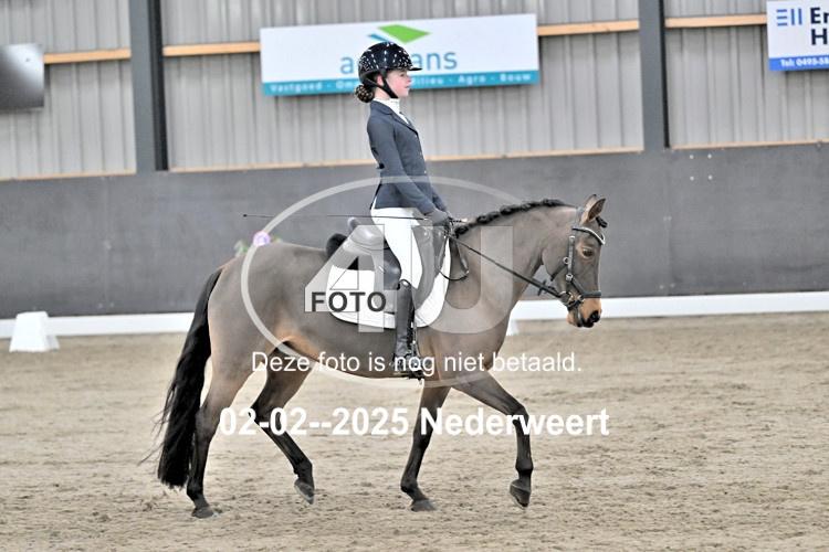 250202 0233