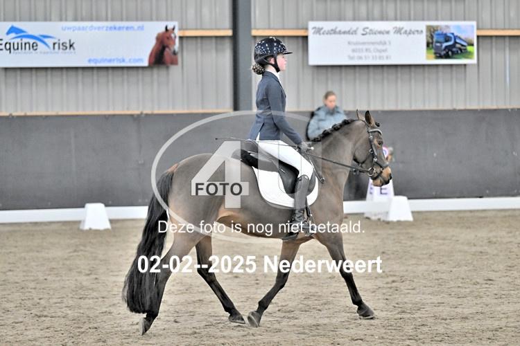 250202 0241
