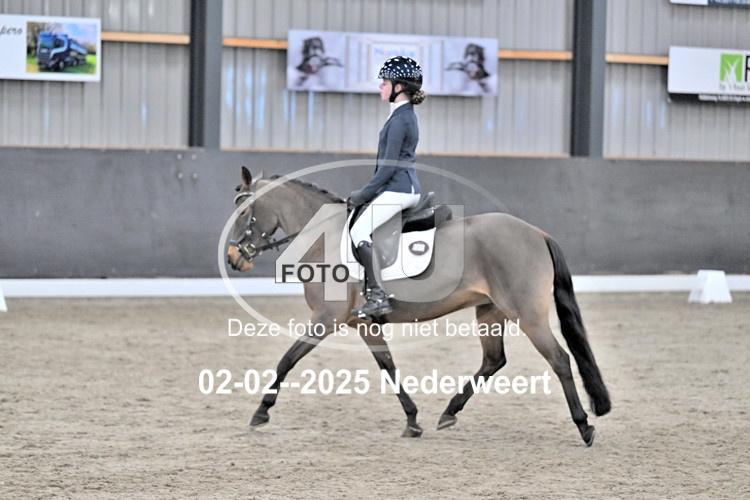 250202 0248
