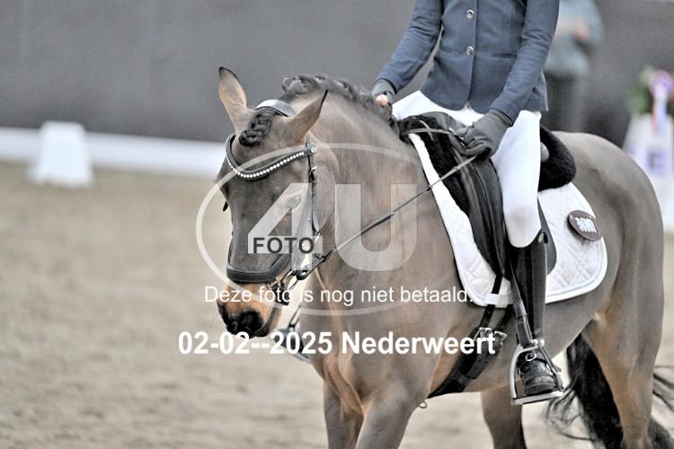 250202 0256