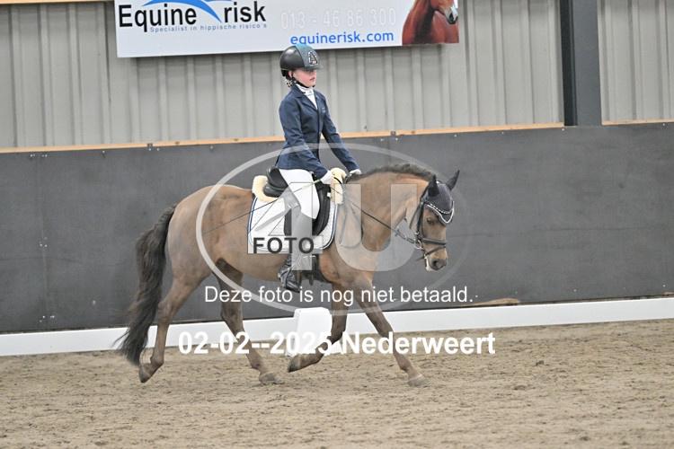 250202 0318