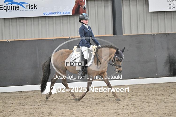 250202 0319