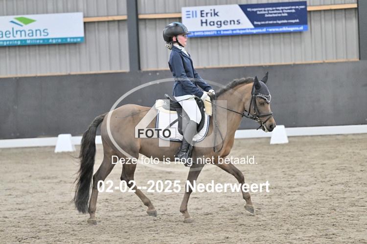 250202 0323