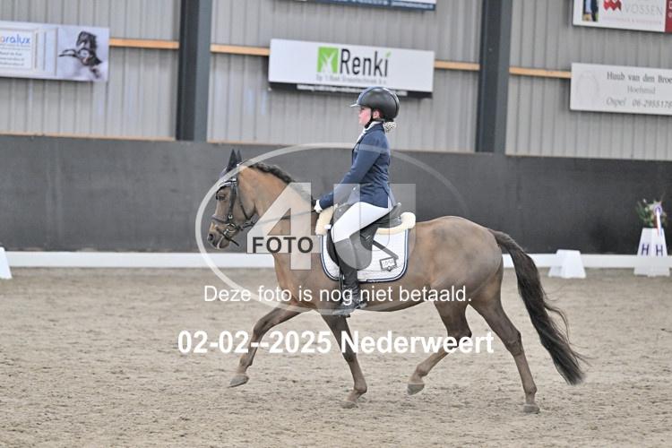 250202 0330