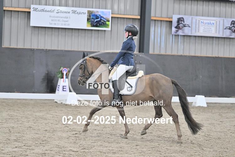 250202 0332