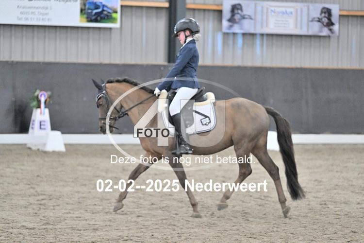 250202 0343
