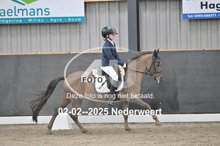 250202 0355