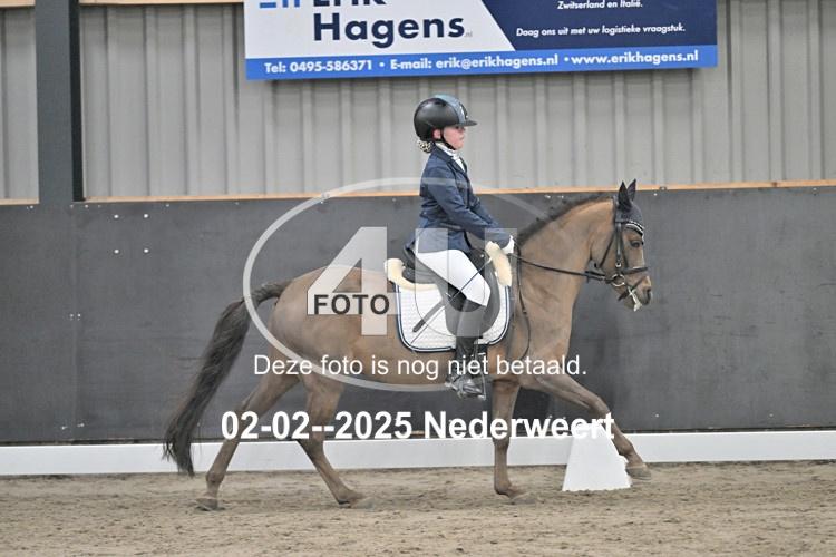 250202 0356