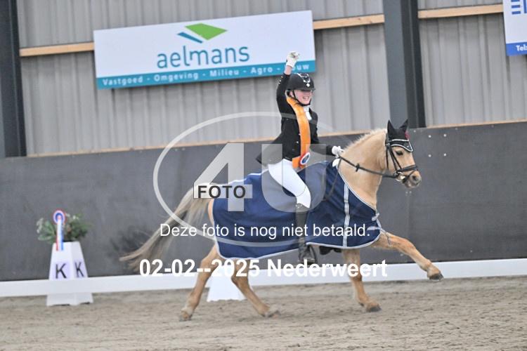 250202 0411